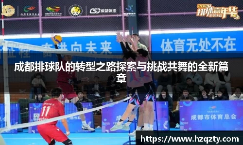 成都排球队的转型之路探索与挑战共舞的全新篇章