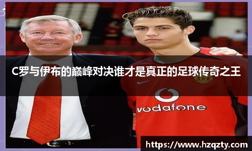 wm完美体育平台